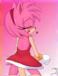  amy_rose heart open_mouth sega sonic_(series) sonic_team tail 