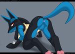 anus breasts fang female furry lucario pokemon presenting pussy raised_tail red_eyes scappo sex solo tail
