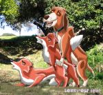  copper_the_hound_dog disney lonewolf the_fox_and_the_hound threesome tod_the_fox vixey 