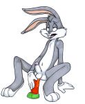  anal bugs_bunny bunny dildo furry gay grey_fur looney_tunes rabbit warner_brothers white_background 