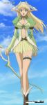  1girl anime elf pointy_ears sega shining_(series) shining_tears solo 