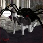  beastiality dark_elf drow elf insect intersex spider vaesark 