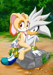  1boy 1girl 1girl age_difference anal anal_object_insertion ass bbmbbf completely_nude cream_the_rabbit cub forest furry furry_female high_res looking_at_viewer male nature object_insertion palcomix sega sex_toy silver_the_hedgehog small_breasts sonic sonic_the_hedgehog_(series) 
