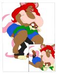  bbw big_breasts breasts brown_hair cleavage furry green_eyes long_hair mouse red_hair smile sunglasses wide_hips 