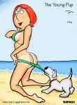  beach bikini brian_griffin family_guy lois_griffin slipway_(artist) 