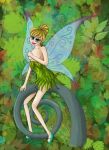  disney disney_fairies peter_pan tinker_bell 