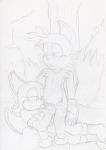  jack_bandicoot miles_&quot;tails&quot;_prower multiple_tails rouge_the_bat sonic_(series) tail 