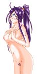 1girl aa_megami-sama adult blush breasts censored earrings facial_mark forehead_mark goddess jewelry long_hair looking_at_viewer mosaic_censoring nipples nude oh_my_goddess! older ponytail pubic_hair purple_hair simple_background single_braid skuld solo standing