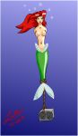 2008 disney lute_(artist) mermaid princess_ariel the_little_mermaid