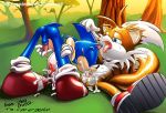  fellatio miles_&quot;tails&quot;_prower multiple_tails oral sonic sonic_the_hedgehog tail yaoi 