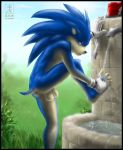  1_anthro 1_male 1boy 5_fingers 5_toes against_wall anthro anthro_hedgehog blue_fur fur furry gloves grass hedgehog male male_anthro male_anthro_hedgehog male_only mobian nude outdoors paws penis pose sega side_view solo sonic sonic_the_hedgehog standing tail testicles uncut video_games water zen zen_(artist) 