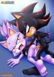  anal bbmbbf blaze_the_cat cum doggy_position full_body mobius_unleashed palcomix pietro&#039;s_secret_club sega shadow_the_hedgehog sonic_(series) sonic_the_hedgehog_(series) tagme 