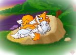  miles_&quot;tails&quot;_prower multiple_tails sonic_team tagme tail twotails 