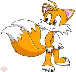 blue_eyes canine fang fox kitsune male miles_&quot;tails&quot;_prower mobian multiple_tails penis sega solo standing tail testicles twotails white_background yellow 