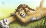  2008 feline furry grass lion looking_at_viewer male solo zen zen_(artist) 