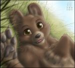 bear brown_fur canine furry original original_character outdoors zen_(artist)