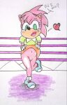 1girl 1girl amy_rose anthro dialogue mobian mobian_(species) pussy raised_skirt rdk sonic_the_fighters sonic_the_hedgehog_(series)