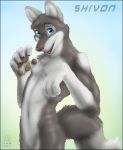 5_fingers anthro anthro_only canid canine canis looking_at_viewer pawpads paws tagme zen_(artist)