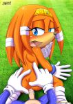  anal ass bbmbbf blush doggy_position moan mobius_unleashed palcomix sega sonic_(series) sonic_the_hedgehog sonic_the_hedgehog_(series) tikal_the_echidna 
