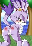  anus ass bbmbbf blaze_the_cat butt feline female from_behind gloves looking_at_viewer mobian mobius_unleashed nude outside palcomix purple pussy sea sega smile solo sonic_(series) sonic_the_hedgehog_(series) tree whip_mark 