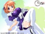  hentai maid orange_hair purple_eyes short_hair thighhighs 