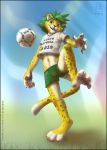  2010 feline football furry grass leopard male mascot shorts soccer solo south_africa world_cup zakumi zen zen_(artist) 
