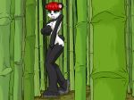  bamboo furry green_eyes panda pikanjo red_hair solo 