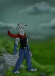 canine clouds day furry jeans male original original_character outside rain scarf shadowsani_(artist) solo white wolf