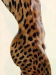  arms_up cheetah female furry navel pubic_hair simple_background small_breasts solo 