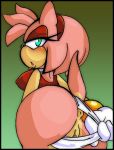  amy_rose anus expose furry looking_back panty_pull purity pussy sega sonic_(series) sonic_team tail view_from_behind 