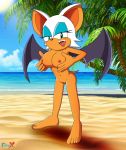  beach furry nude rouge_the_bat sega sonic sonic_the_hedgehog_(series) 