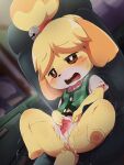  animal_crossing anthro blush dagasi dog female furry furry_only isabelle_(animal_crossing) nintendo pussy sweat 