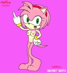  amy_rose breasts hellfire_(artist) middle_finger nude_female pink_fur pussy sega sonic_(series) sonic_the_hedgehog_(series) 