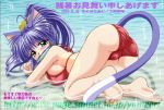  animal_ears barefoot blue_hair blush bra cat_ears cat_tail catgirl feet fish green_eyes hentai lingerie long_hair looking_at_viewer mouth_hold soles tail thighhighs underwear 