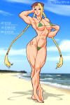  abs absurd_res armpit beach bikini blonde_hair cammy_white felsus_(artist) solo street_fighter 