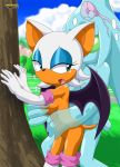  bbmbbf chaos mobius_unleashed palcomix rouge_the_bat sega sonic_(series) sonic_the_hedgehog_(series) 