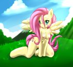  blush breasts cute equine female fluttershy fluttershy_(mlp) friendship_is_magic hasbro horse mn_xenx mnxenx001 my_little_pony nude outside pegasus pink_hair pony pussy solo wings 