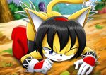  archie_comics bbmbbf honey_the_cat mobius_unleashed palcomix sega sonic_(series) sonic_the_hedgehog_(series) 