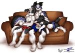  couch furry tagme wolfblade_(artist) 