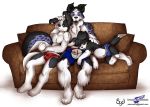 border_collie boxers briefs bulge cam_(wolfblade) canine couch cub dog furry jesse_(wolfblade) looking_at_viewer male muscle original plain_background roni simple_background sleeping underwear white_background wolfblade_(artist) young