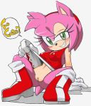  amy_rose ass breasts erect_nipples hairless_pussy no_panties pussy skirt_lift small_breasts sonic_team sonic_the_hedgehog spread_legs upskirt 