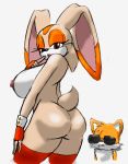 ass big_breasts breasts brown_eyes bubble_butt cream_the_rabbit dat_ass erect_nipples eyelashes fox glasses gloves looking_back meme miles_&quot;tails&quot;_prower nipples nude rabbit sega shiny shiny_skin sonic_*(series) sonic_the_hedgehog_(series) speeds sunglasses tail