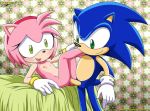  amy_rose bbmbbf mobius_unleashed palcomix sega sonic_(series) sonic_the_hedgehog sonic_the_hedgehog_(series) 