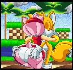  amy_rose ass ass_grab big_ass bracelet bubble_butt butt_grab canine closed_eyes color female fox furry gloves hair hairband hedgehog hetero huge_ass jewelry kissing male miles_&quot;tails&quot;_prower multiple_tails panties pink_hair sega short_hair sonic_(series) source_request tail upskirt virus-20 wasp_waist white_panties wide_hips 