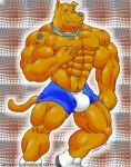  abs buff dog furry male muscle muscles scooby scooby-doo solo 