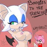  amy_rose angry bat breasts furry gloves green_eyes nipples nude pink_hair rouge_the_bat sega short_hair sonic sonic_team surprise text white_hair wings 
