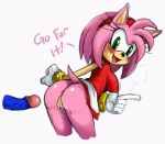  amy_rose anthro anus ass bent_over blush bracelet bubble_butt erection furry gloves green_eyes hairband jewelry looking_back penis pink_hair pussy sega shiny shiny_skin short_hair smile sonic sonic_the_hedgehog sweat text 