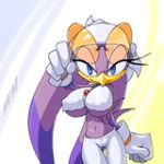  big_breasts breasts sonic_(series) tagme wave_the_swallow 