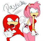 amy_rose anthro ass blue_eyes bracelet dialogue dress echidna embarrassing female funny furry gloves green_eyes hairband hedgehog jewelry knuckles_the_echidna long_hair looking_back male open_mouth panties pink_hair red_hair rodent sega short_hair smile sonic surprise text underwear upskirt white_panties