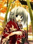  1girl bamboo bamboo_forest black_eyes blush copyright_request forest hentai japanese_clothes mitsumi_misato nature solo white_hair 